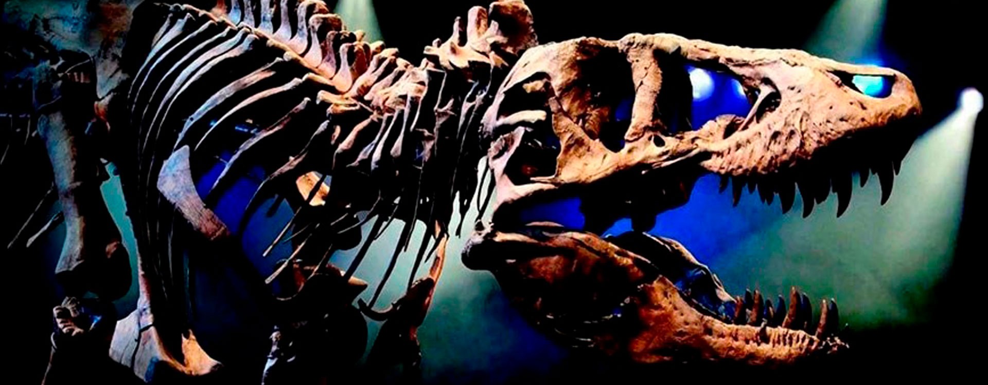 Недостающие кости скелета Тираннозавра T-REX возобновили посредством 3D печати